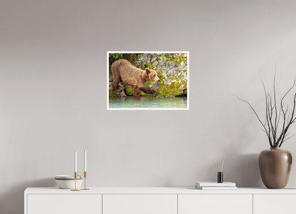 Momma on a Mission Nature Photography Print