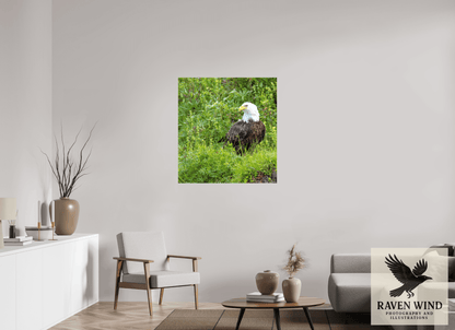 35 x 37.4″, Print on Canvas - ready to hang or set on a shelf Grounded Majesty - Alaskan Bald Eagle Nature Photography Print