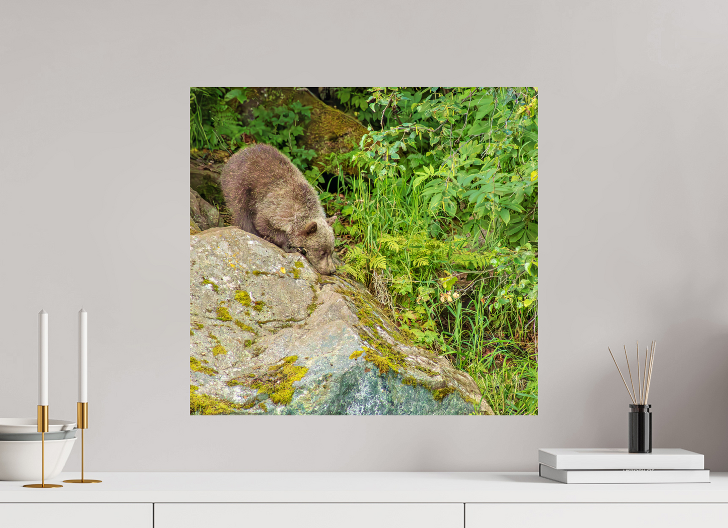 Learning the Ropes Nature Photography Print