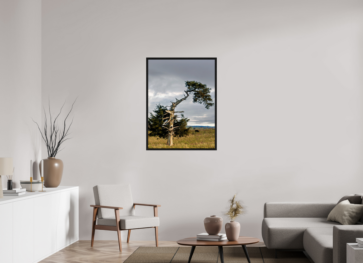 30 x 40″, Floater Framed with Black Oak The Cedar That Weathered It All Nature Photography Print