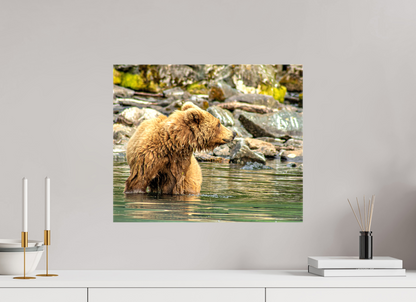 Watchful Momma Nature Photography Print