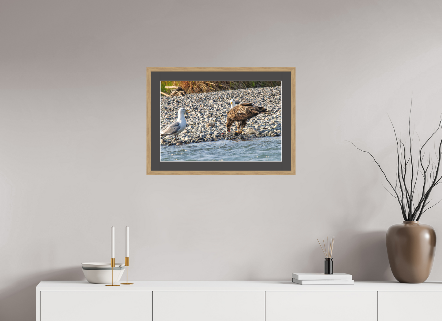 Mine? Mine? – Bald Eagle and Seagull Shoreline Standoff Nature Photography Print