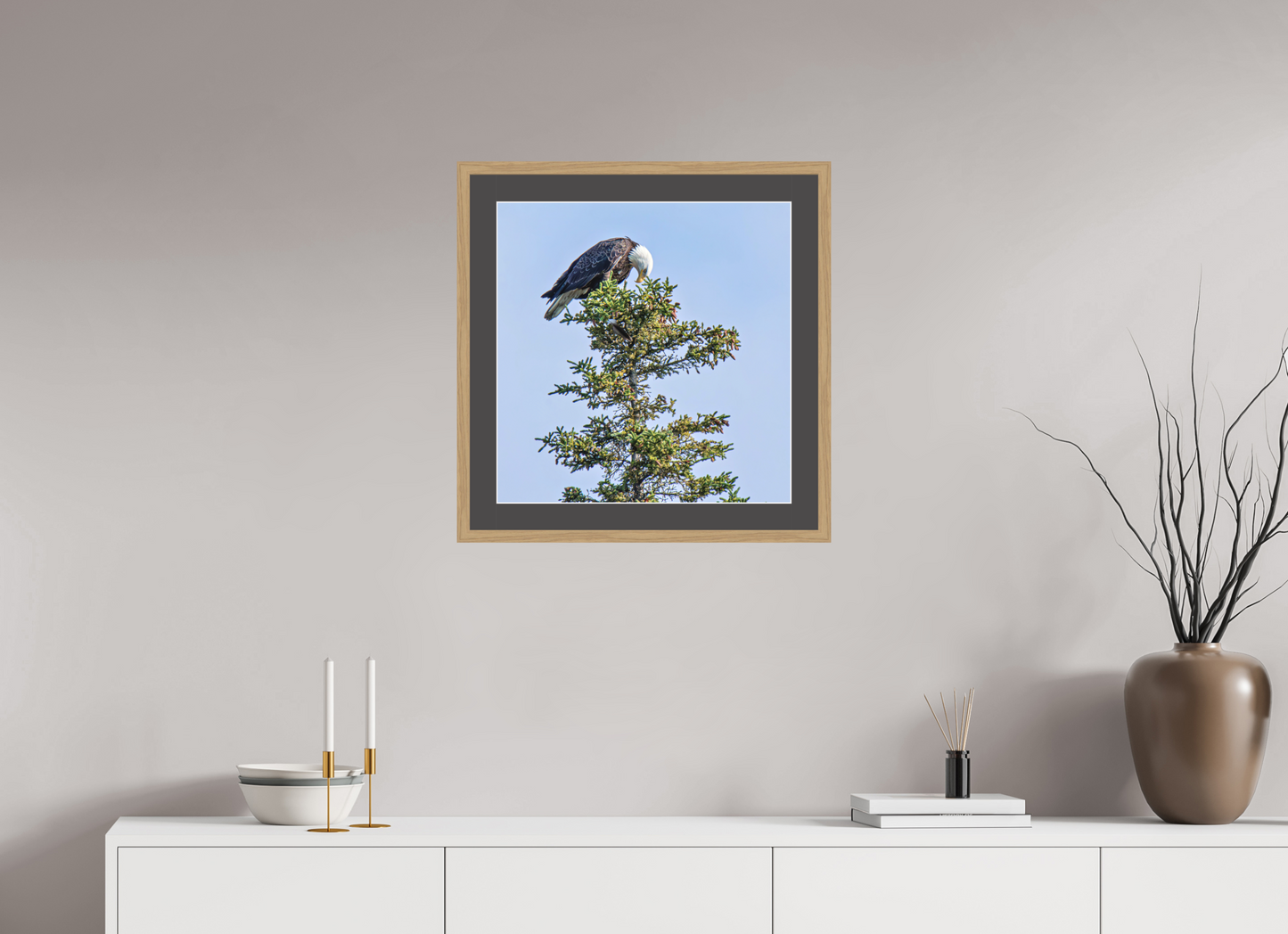 Silent Sentinel – Bald Eagle in Alaska’s Pines Nature Photography Print