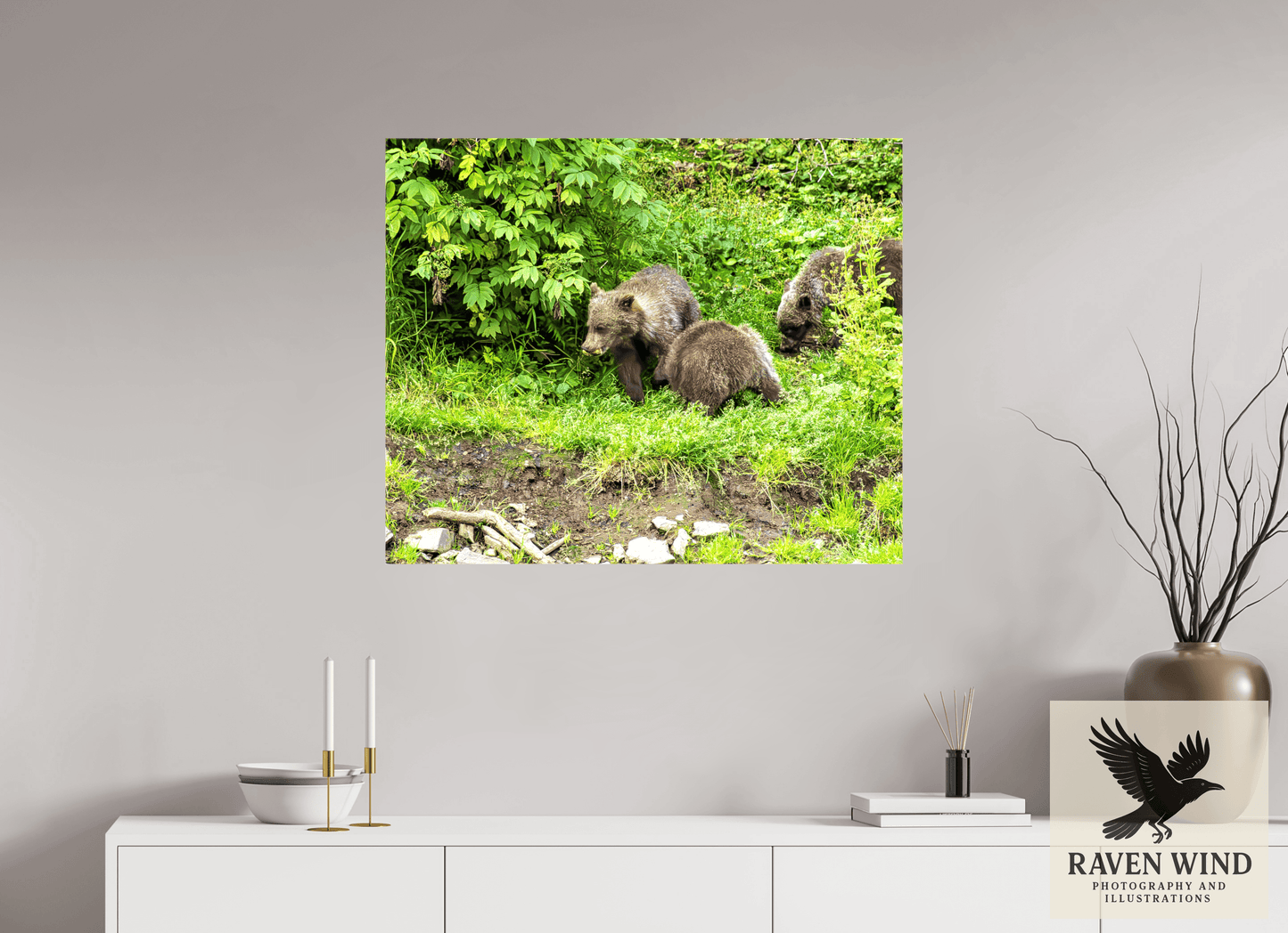 34 x 28″, Print on Canvas - ready to hang or set on a shelf Brown Bear Triplets Nature Photography Print