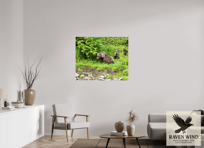 42.5 x 35″, Photo Print On Fuji Crystal DP II - unframed Brown Bear Triplets Nature Photography Print