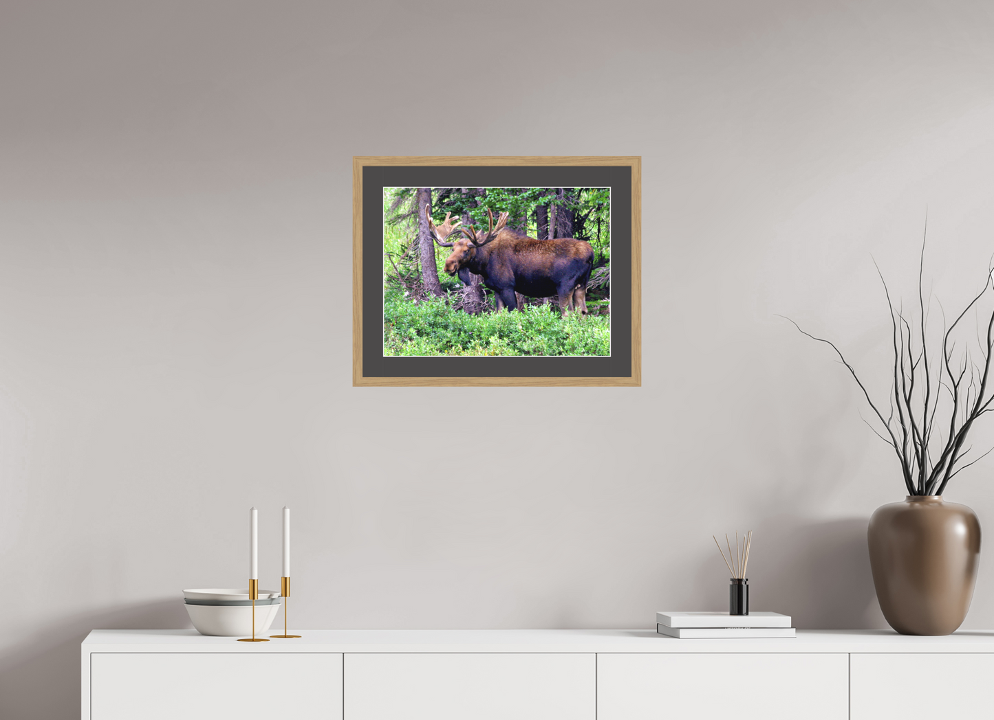 Watchful Moose - Fine Art Wildlife Print