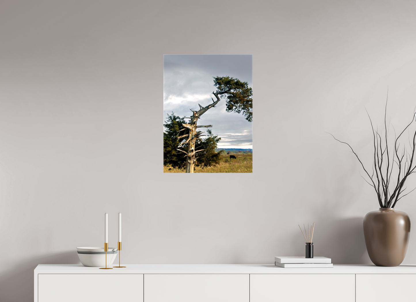 18 x 24″, Print on Canvas - ready to hang or set on a shelf The Cedar That Weathered It All Nature Photography Print