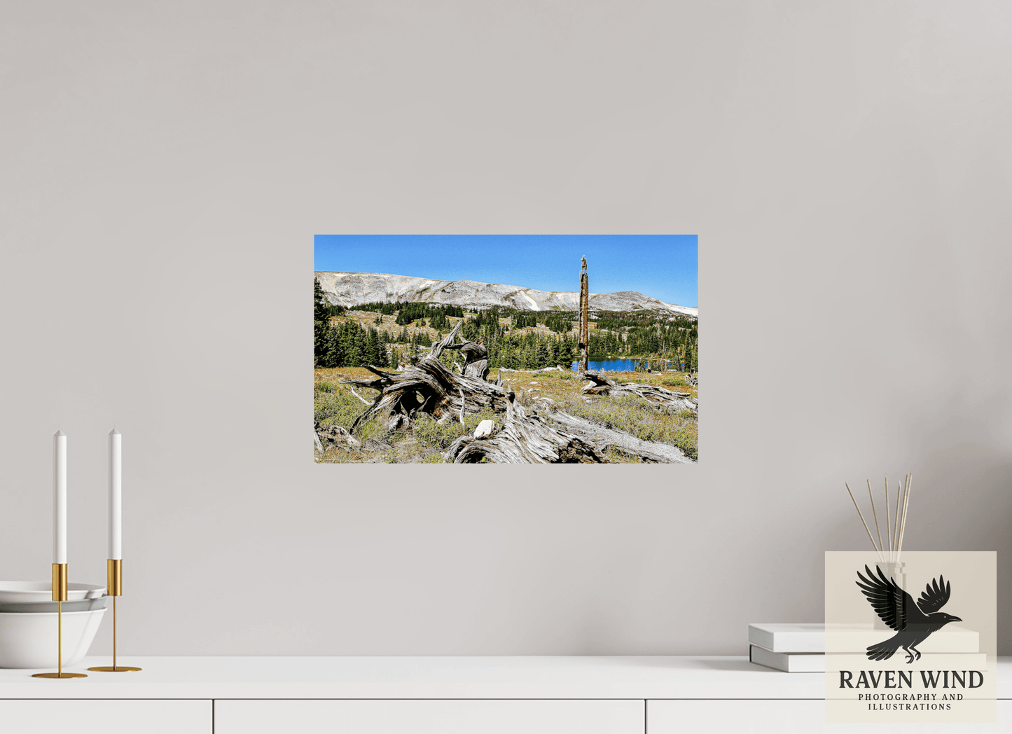 16.8 x 10″, Fine Art Print on Pearl Texture - unframed (email for frame options) Standing Bear Tree - Bear Lake, Colorado Nature Photography Print