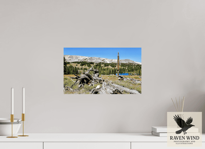 16.8 x 10″, Fine Art Print on Pearl Texture - unframed (email for frame options) Standing Bear Tree - Bear Lake, Colorado Nature Photography Print