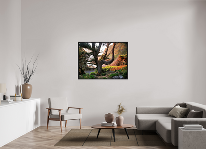 Sunset Glow Fine Art Nature Photography Print