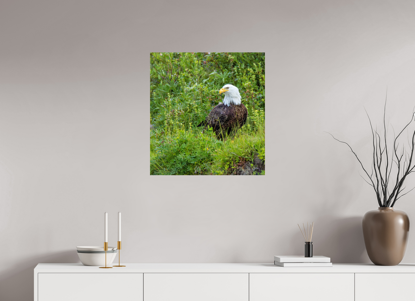 Grounded Majesty – Bald Eagle in Alaska’s Wilderness Nature Photography Print