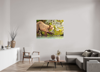 Momma on a Mission Nature Photography Print