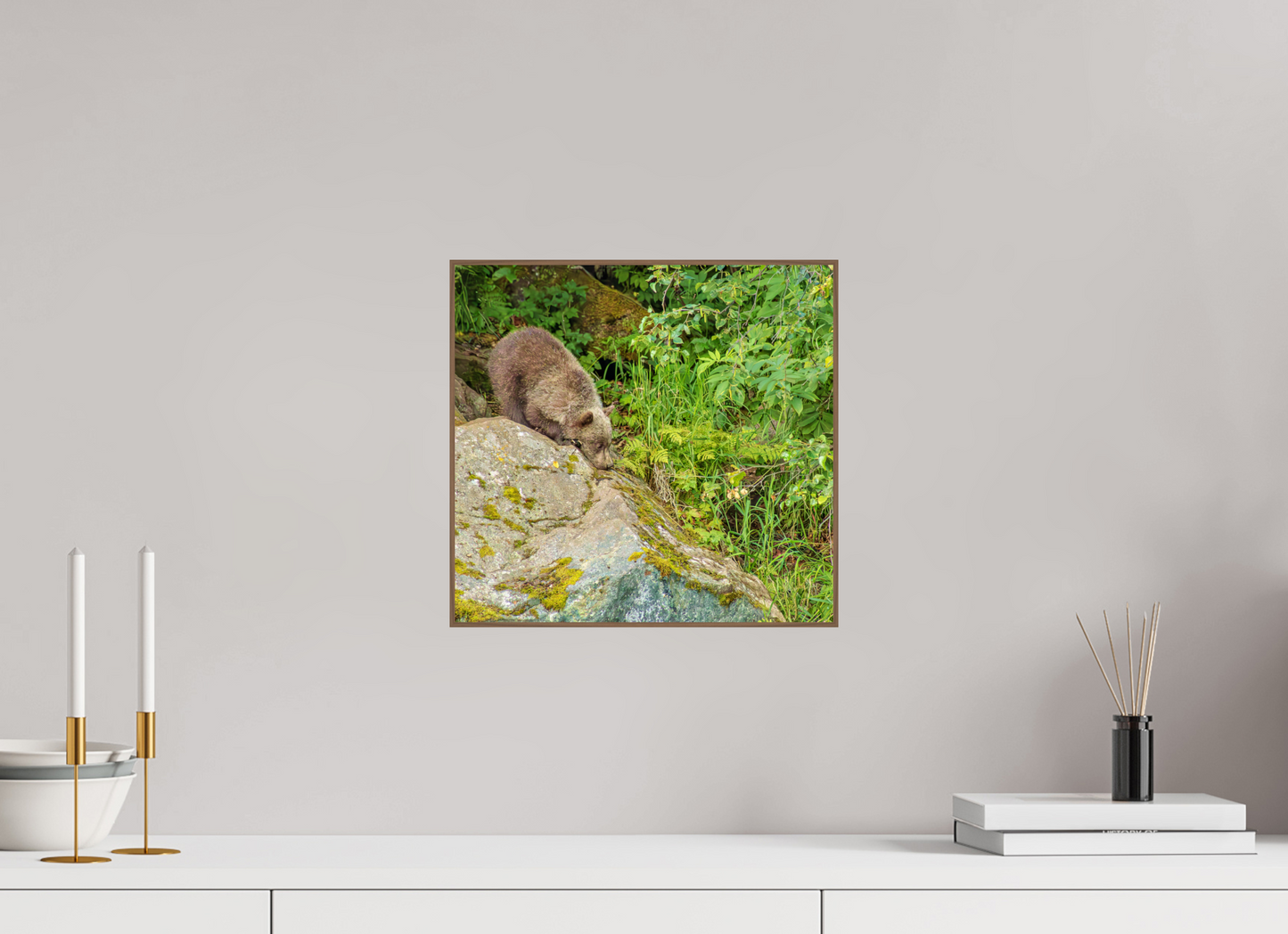 Learning the Ropes Nature Photography Print