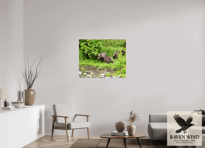 37.7 x 31″, Photo Print On Fuji Crystal DP II - unframed Brown Bear Triplets Nature Photography Print