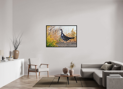 Grounded Grace – Fine Art Print of a Wild Grouse