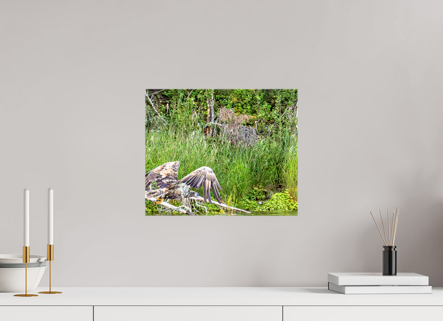 Skimming the Wild – Juvenile Bald Eagle Over the Kasilof River, Nature Photography Print