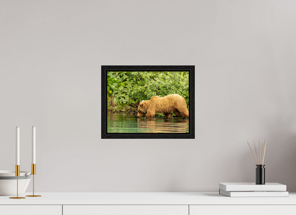 Fishing Takes Patience Nature Photography Print
