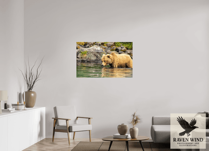 44.1 x 28″, Photo Print Under Acrylic Glass - ready to hang Wild Focus Nature Photography Print