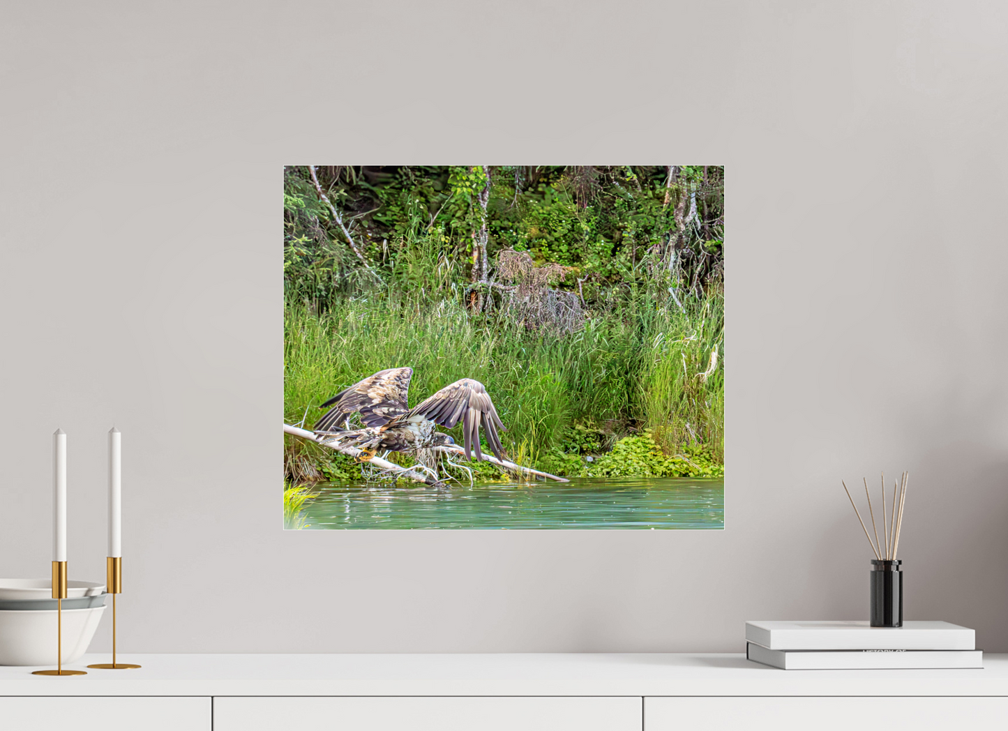 Skimming the Wild – Juvenile Bald Eagle Over the Kasilof River, Nature Photography Print