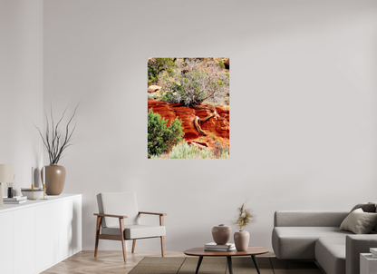 Resilient Roots – Twisted Tree in Red Rock Desert Fine Art Print