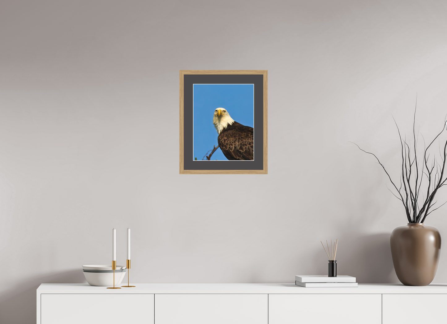 Eyes of the Wild – Bald Eagle in Alaska’s Wilderness Nature Photography Print