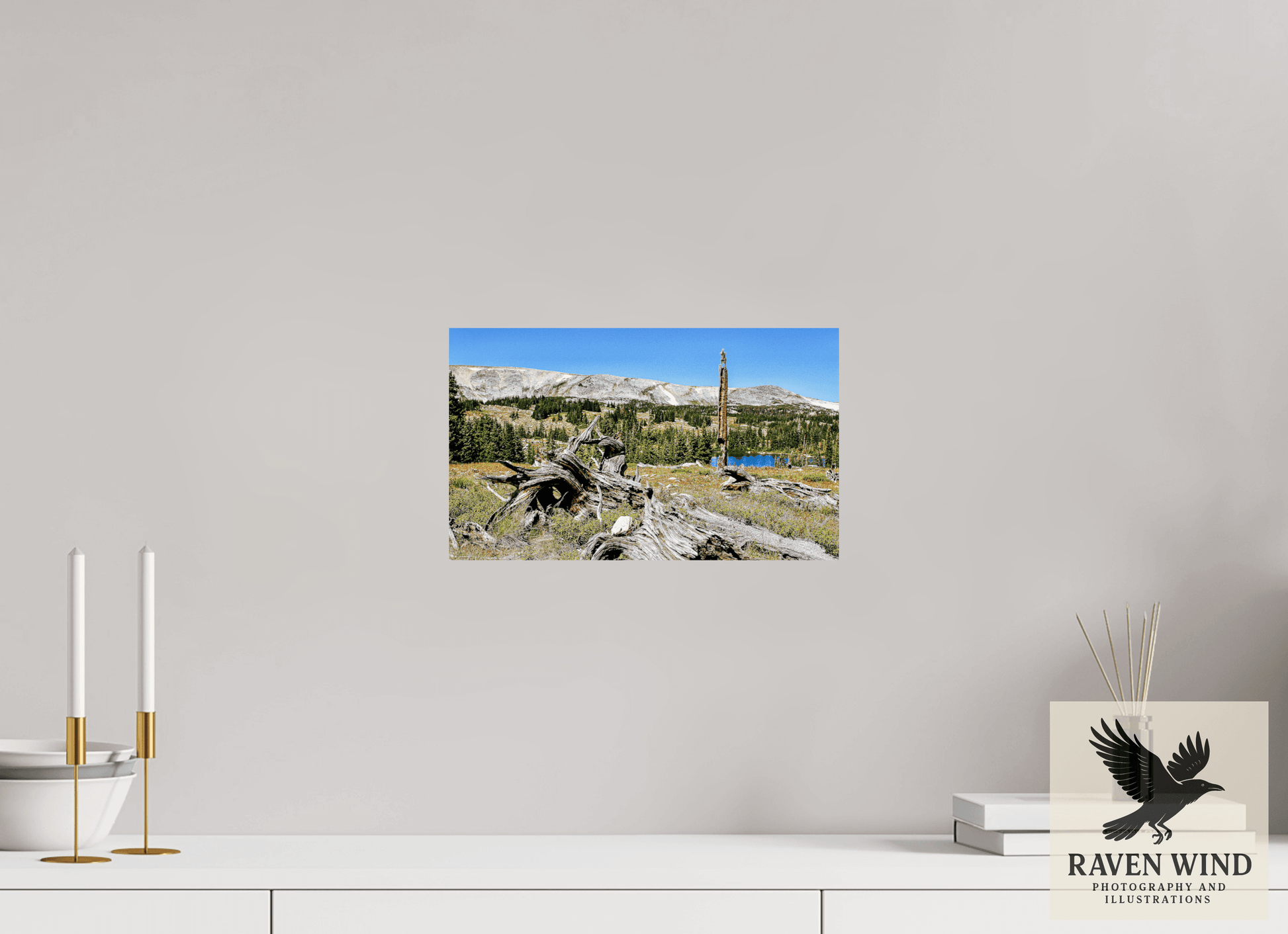 13.4 x 8″, ChromaLuxe HD Metal Print - ready to hang Standing Bear Tree - Bear Lake, Colorado Nature Photography Print