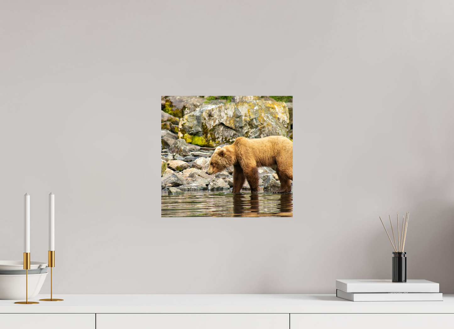 Looking for Dinner Nature Photography Print