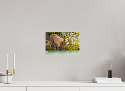 Testing the Waters Nature Photography Print