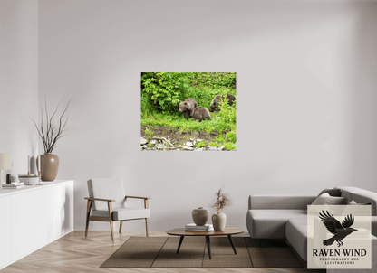 52.2 x 43″, Photo Print Under Acrylic Glass - ready to hang Brown Bear Triplets Nature Photography Print