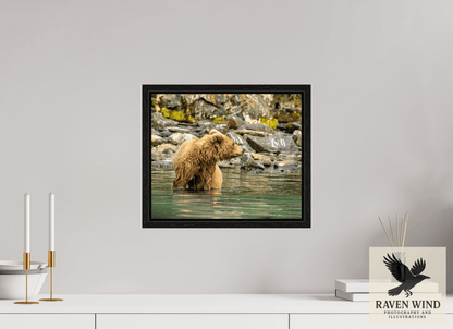 14.4 x 12″, Floater Frame - black oak frame - ready to hang Watchful Momma Nature Photography Print