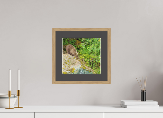Learning the Ropes Nature Photography Print