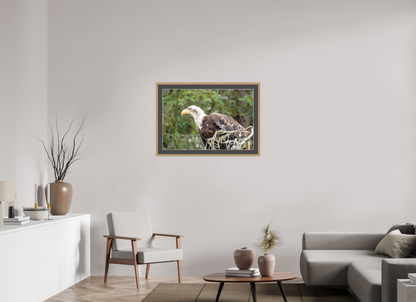 Majestic Watch – Bald Eagle on the Kenai Peninsula Nature Photography Print