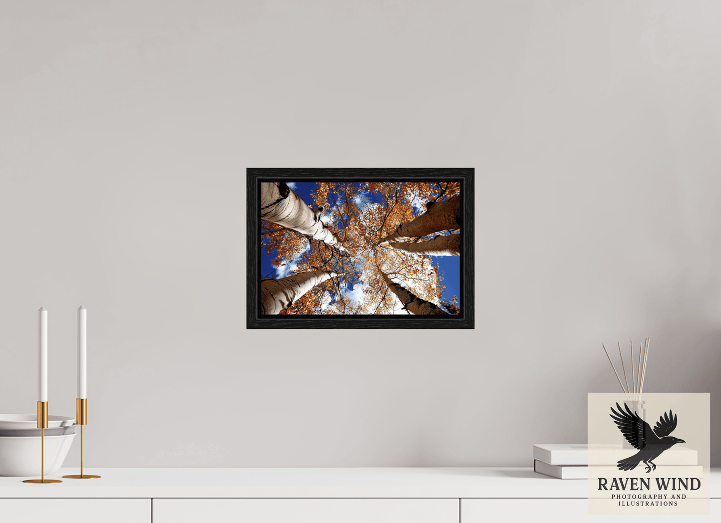 12 x 8″, Floater Frame - black oak frame - ready to hang Reaching for the Sky - Aspens in the Fall Nature Photography Print
