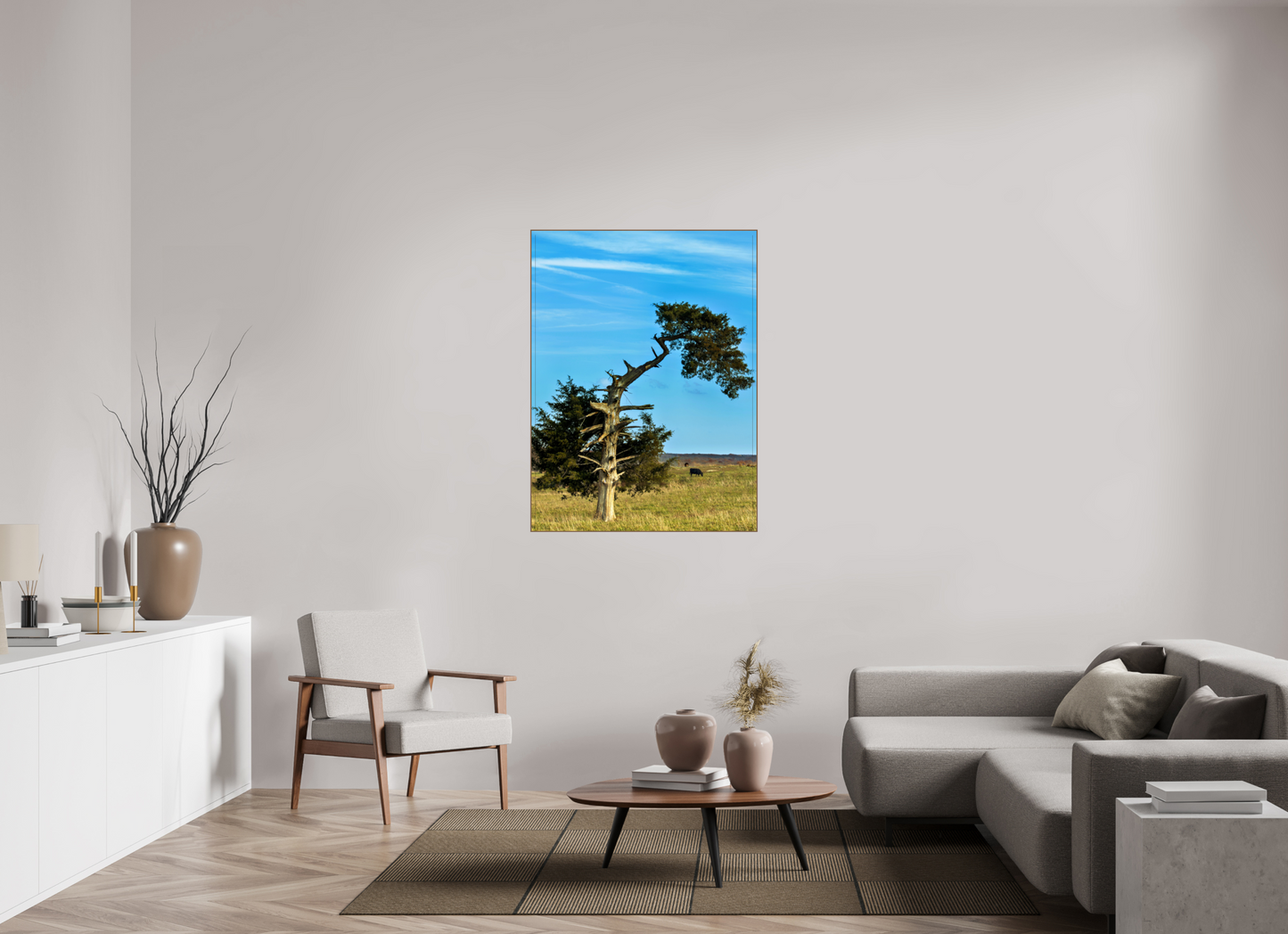 Still Standing – The Cedar That Reached for the Sky