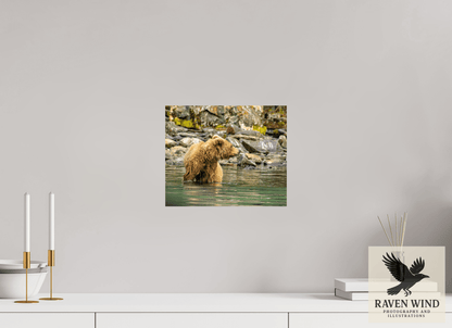 12 x 10″, Fine Art Print on Photo Rag Baryta - unframed (email for framing options) Watchful Momma Nature Photography Print