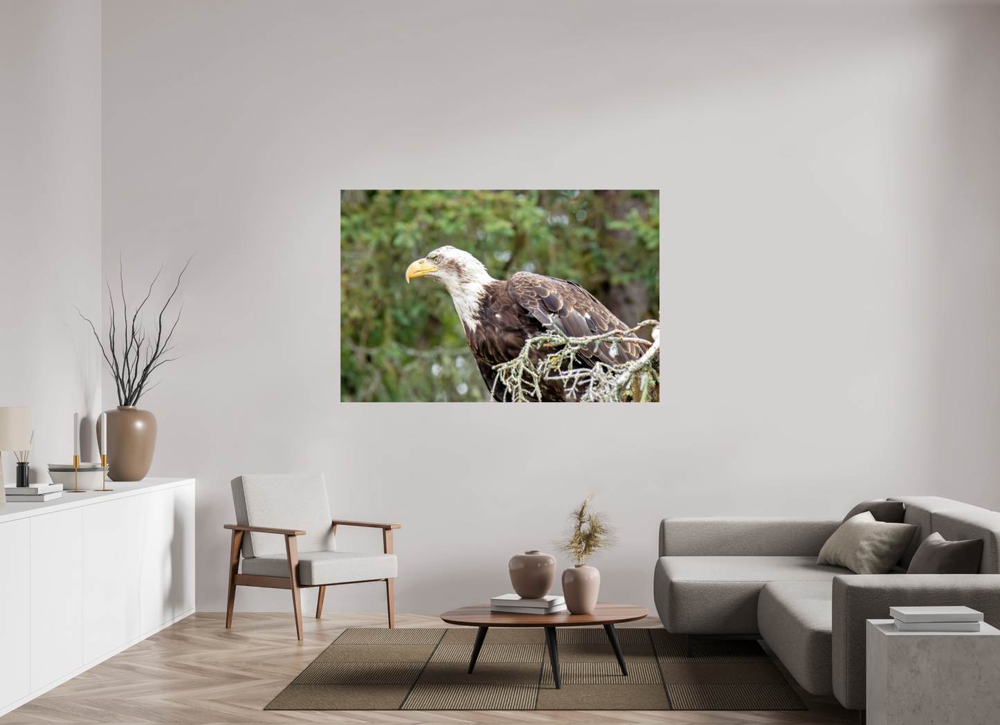 Majestic Watch – Bald Eagle on the Kenai Peninsula Nature Photography Print