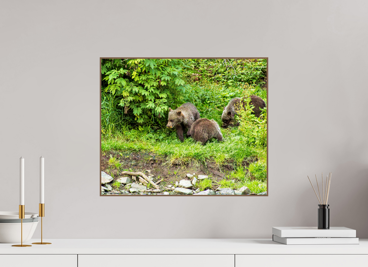 Brown Bear Triplets