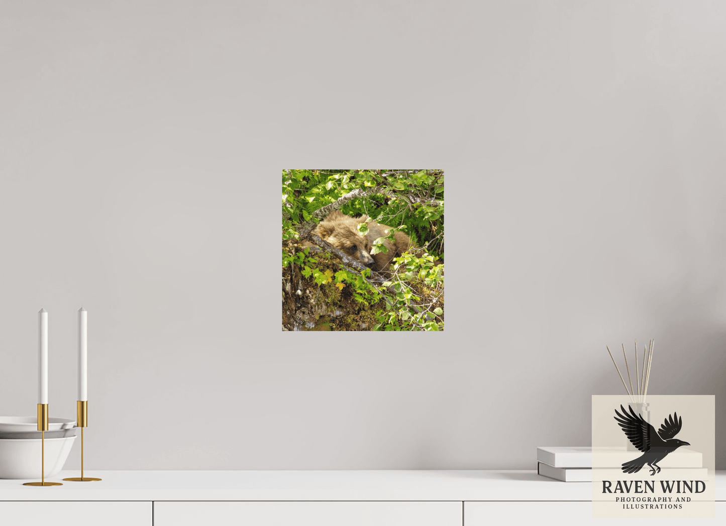 10 x 10″, Fine Art Print on Photo Rag Baryta - unframed (email for frame options) Hide and Peek Nature Photography Print