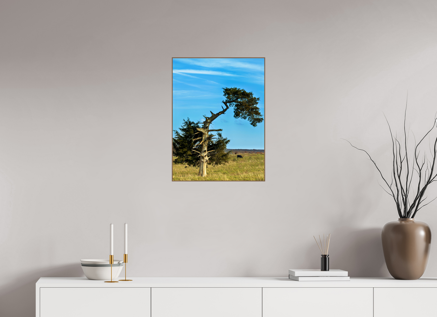 Still Standing – The Cedar That Reached for the Sky