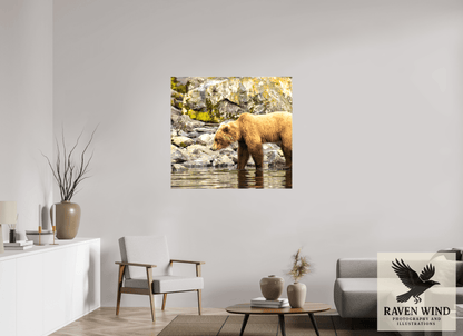 42.2 x 39″, Print on Canvas - ready to hang or set on a shelf Looking for Dinner Nature Photography Print