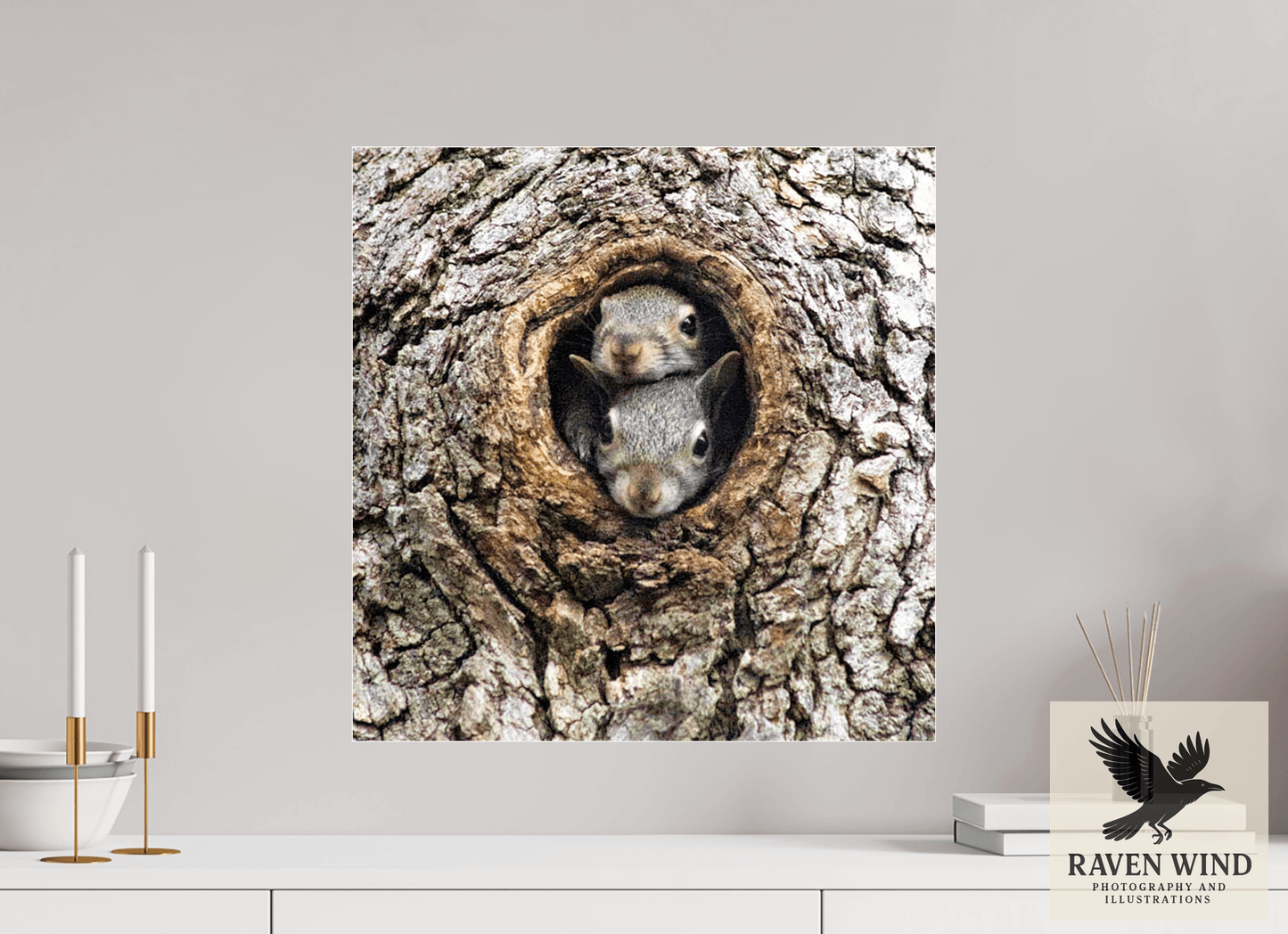 20 x 20.4″, Photo Print Under Acrylic Glass - ready to hang Curious Peek Nature Photography Print