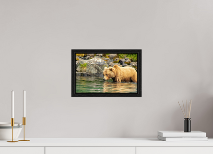 Wild Focus Nature Photography Print