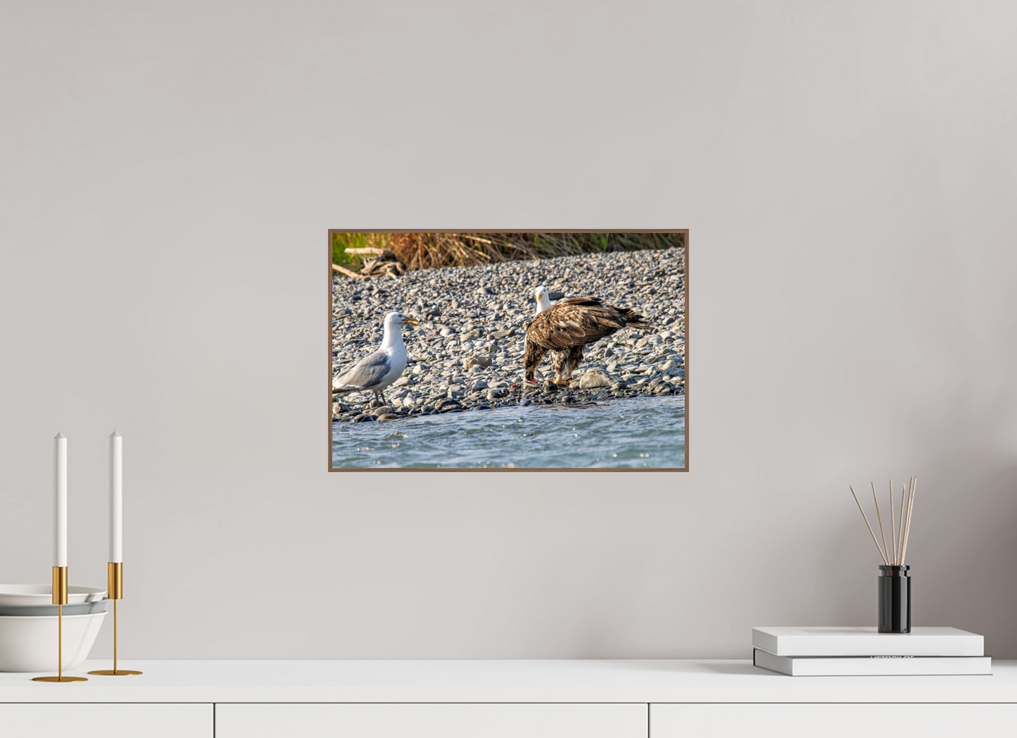 Mine? Mine? – Bald Eagle and Seagull Shoreline Standoff Nature Photography Print