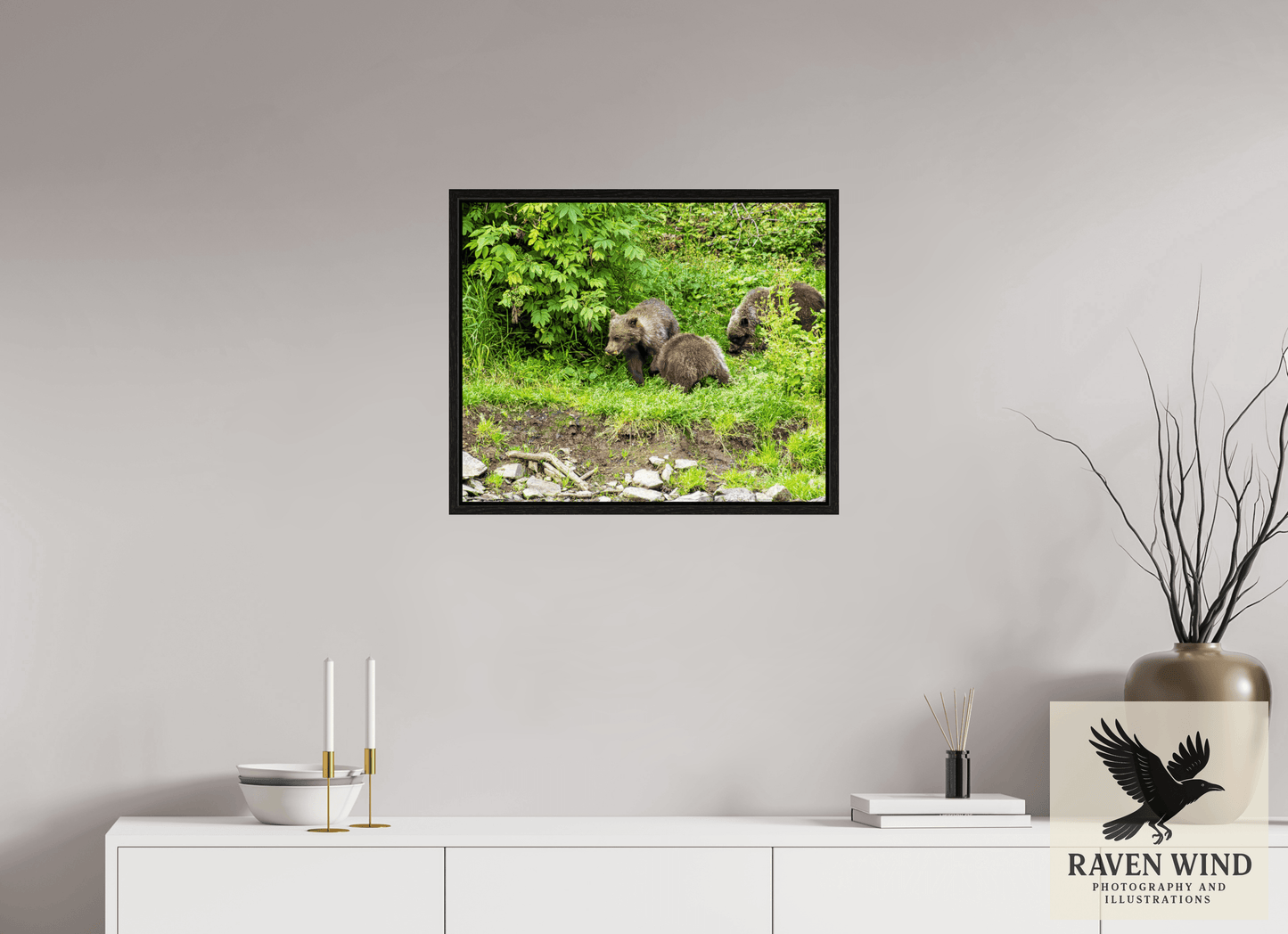 24.3 x 20″, Floater Frame - black oak frame - ready to hang Brown Bear Triplets Nature Photography Print