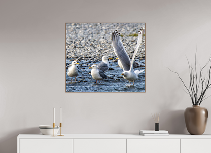 Wings in Motion – Seagulls on the Kasilof River, Alaska Nature Photography Print