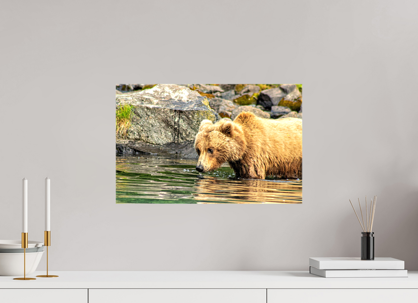 Wild Focus Nature Photography Print