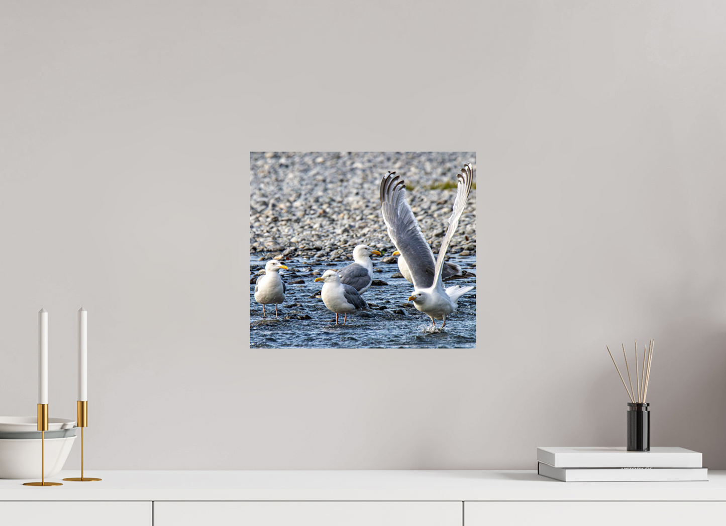 Wings in Motion – Seagulls on the Kasilof River, Alaska Nature Photography Print
