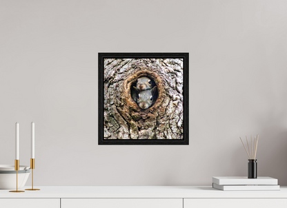 Curious Peek Nature Photography Print