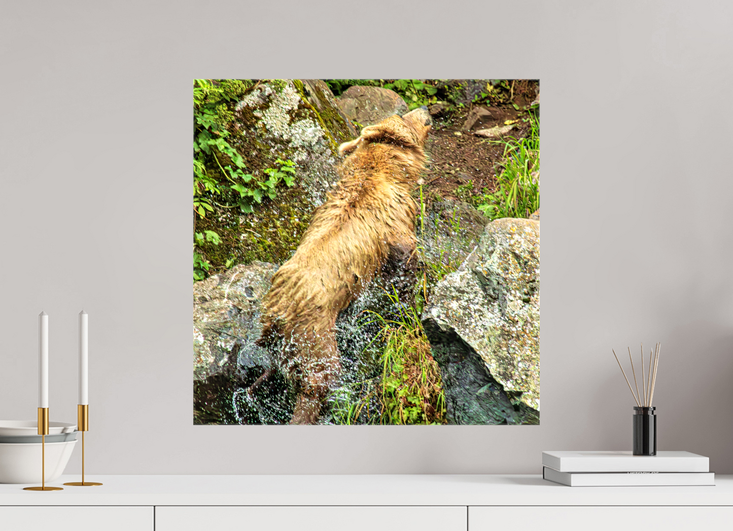 The Shake Nature Photography Print