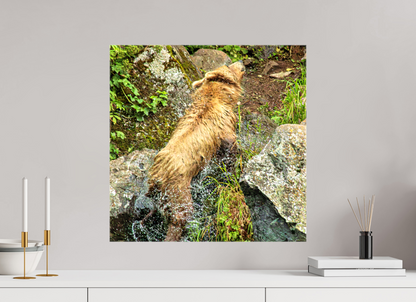 The Shake Nature Photography Print